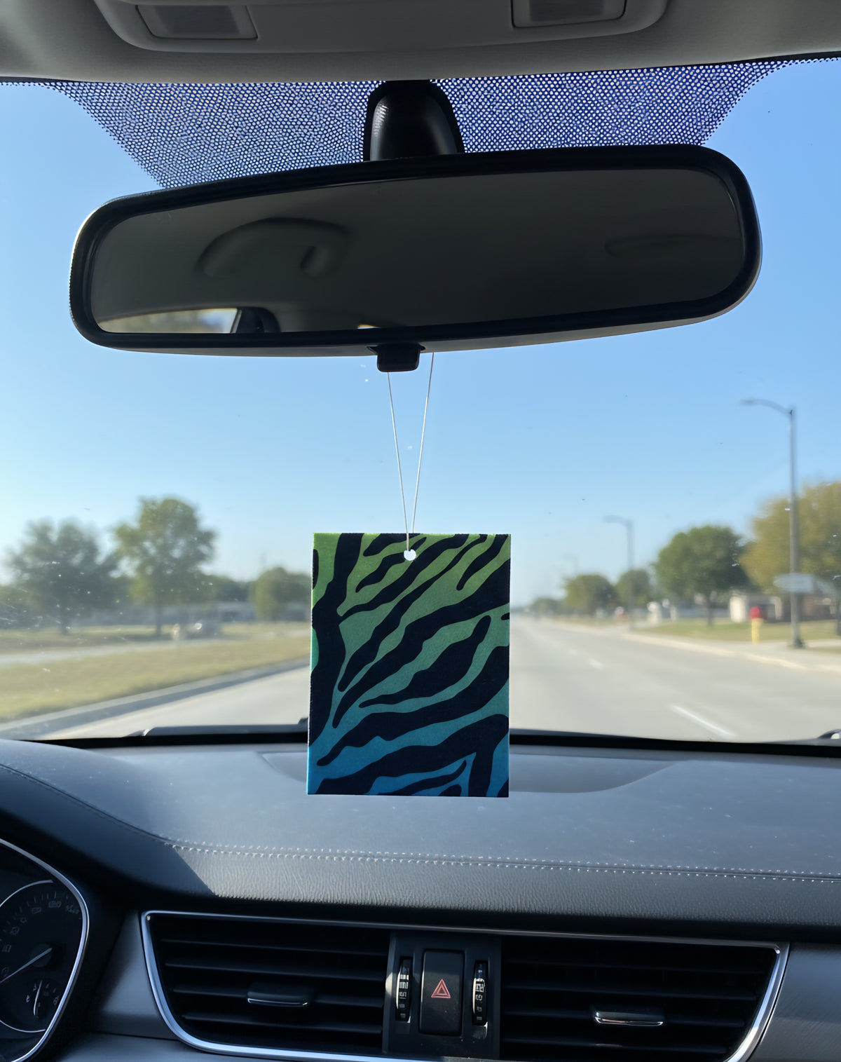Gradient Zebra