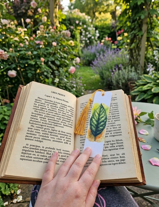 Nature's Page
